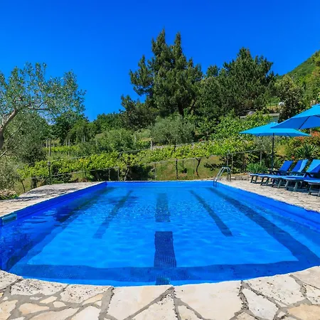 Apartment Josip Plomin