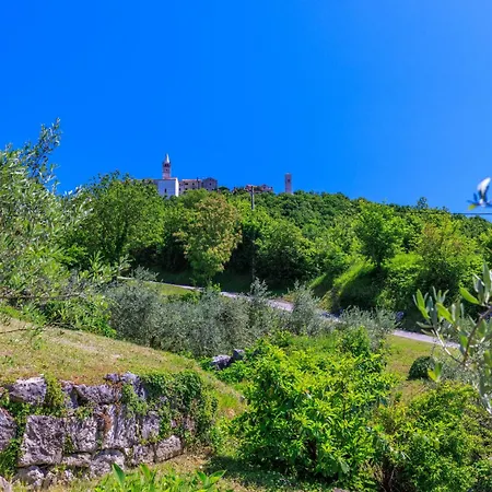 Josip * פלומין