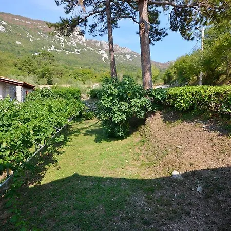 Apartment Josip